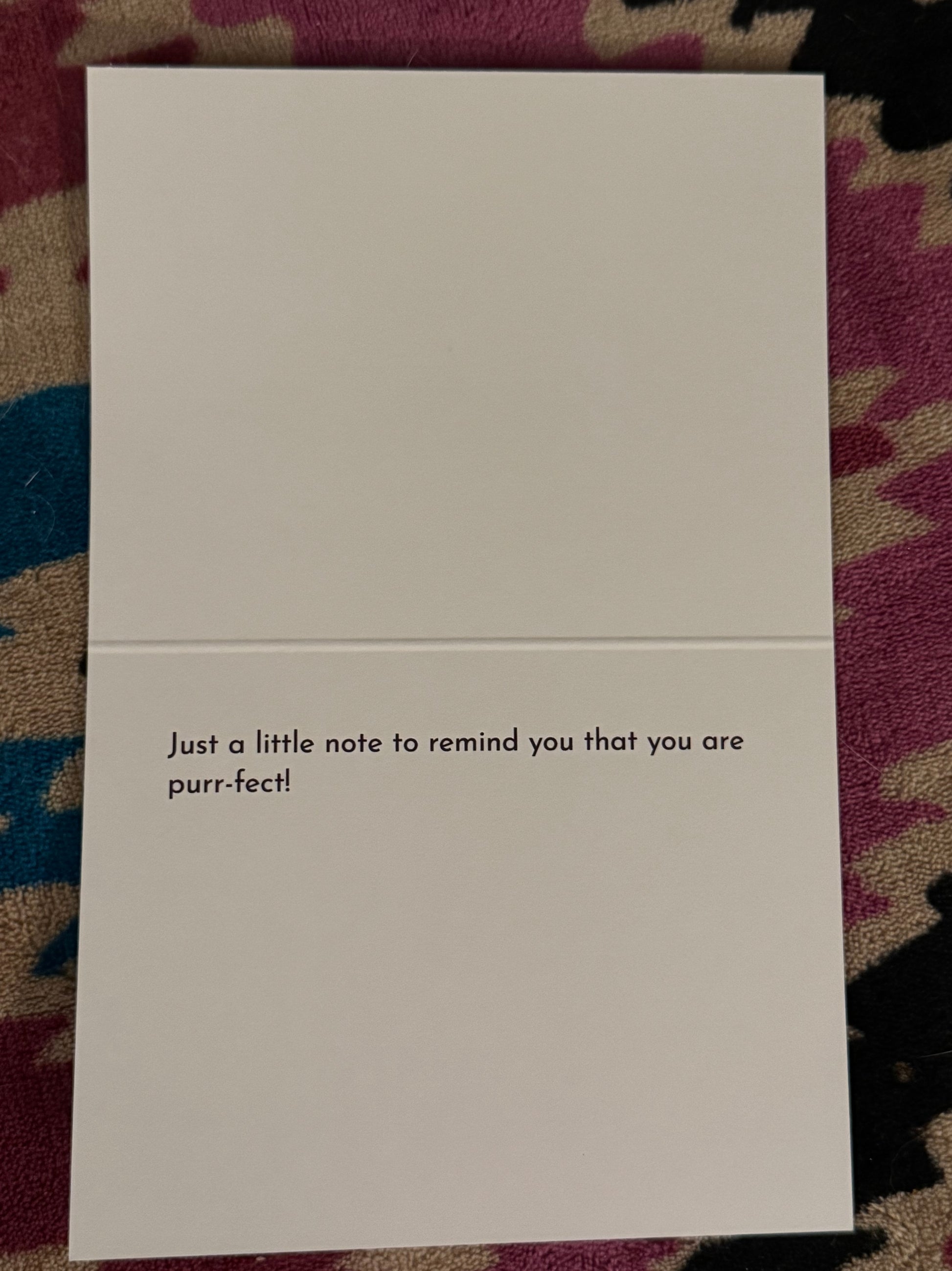 Sisters Before Misters Greeting Cards